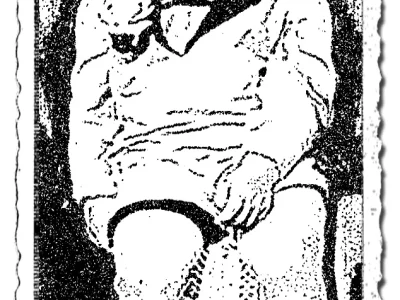 Government for 3.5 years